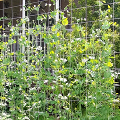 Farmhouse Fence Plant Support Net 152.4 cm