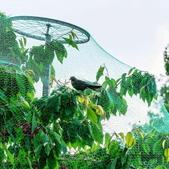 2mX5m Anti Bird Netting for Protecting Plants and Fruit Trees