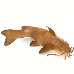 Animal Models Freshwater Fish Catfish Bearded