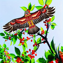 Eagle Kite with Cotton Thread Board, 100m, Outdoor Fun