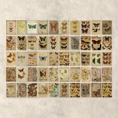 100pcs Retro Plants Flower Decoration Collage Journal