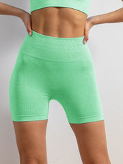 Quick Dry Yoga Shorts High Waist Tummy Control Women's Activewear