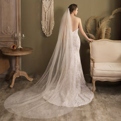 Mesh Long Cathedral Style Bridal Veil with Comb