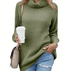 Women's Plus Casual Sweater Solid Long Sleeve Turtle Neck Jumper