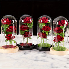 Rainbow Rose Flower for Christmas and Birthdays