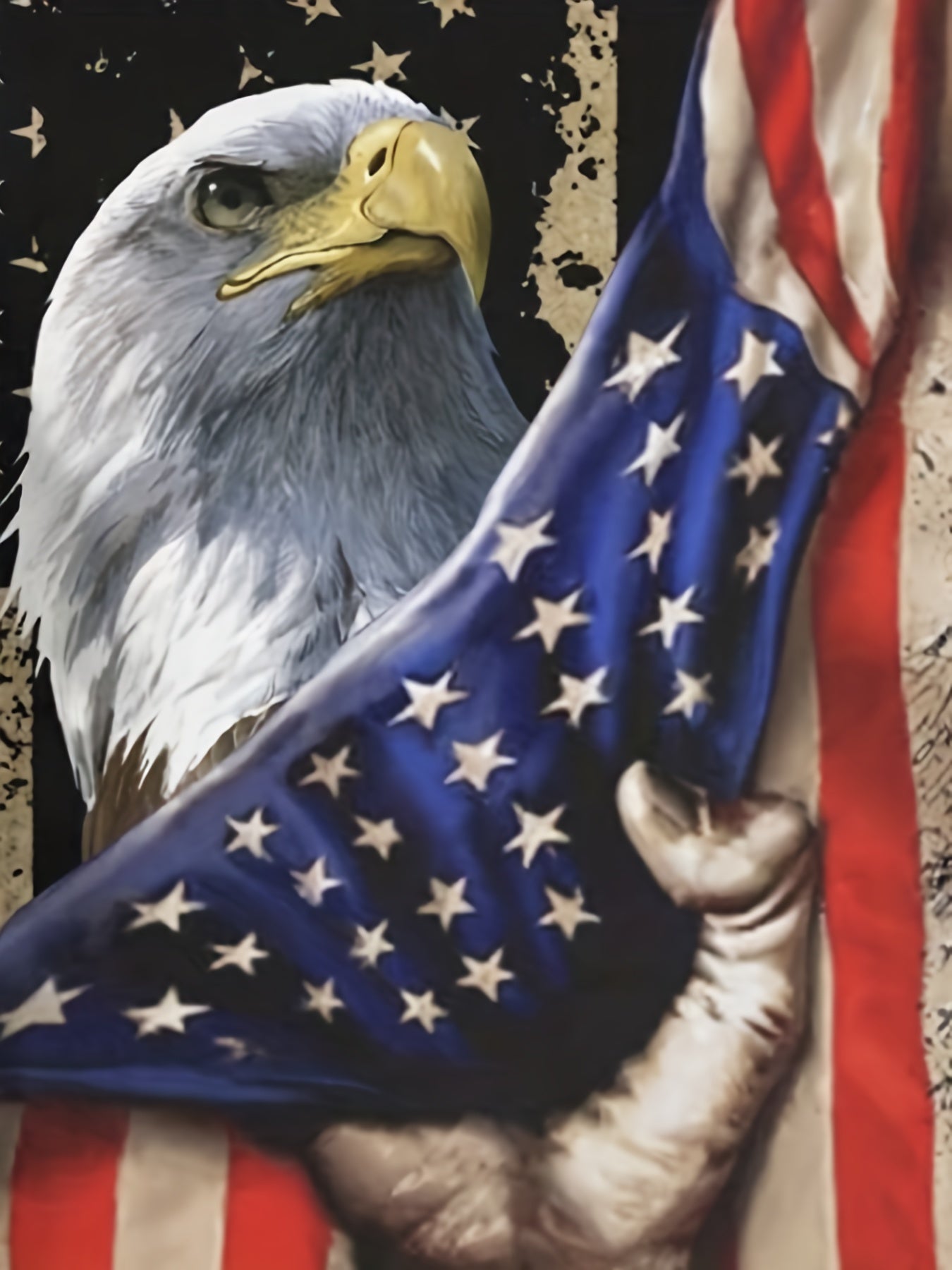 Independence Eagle & American Flag Print Men's T-shirt