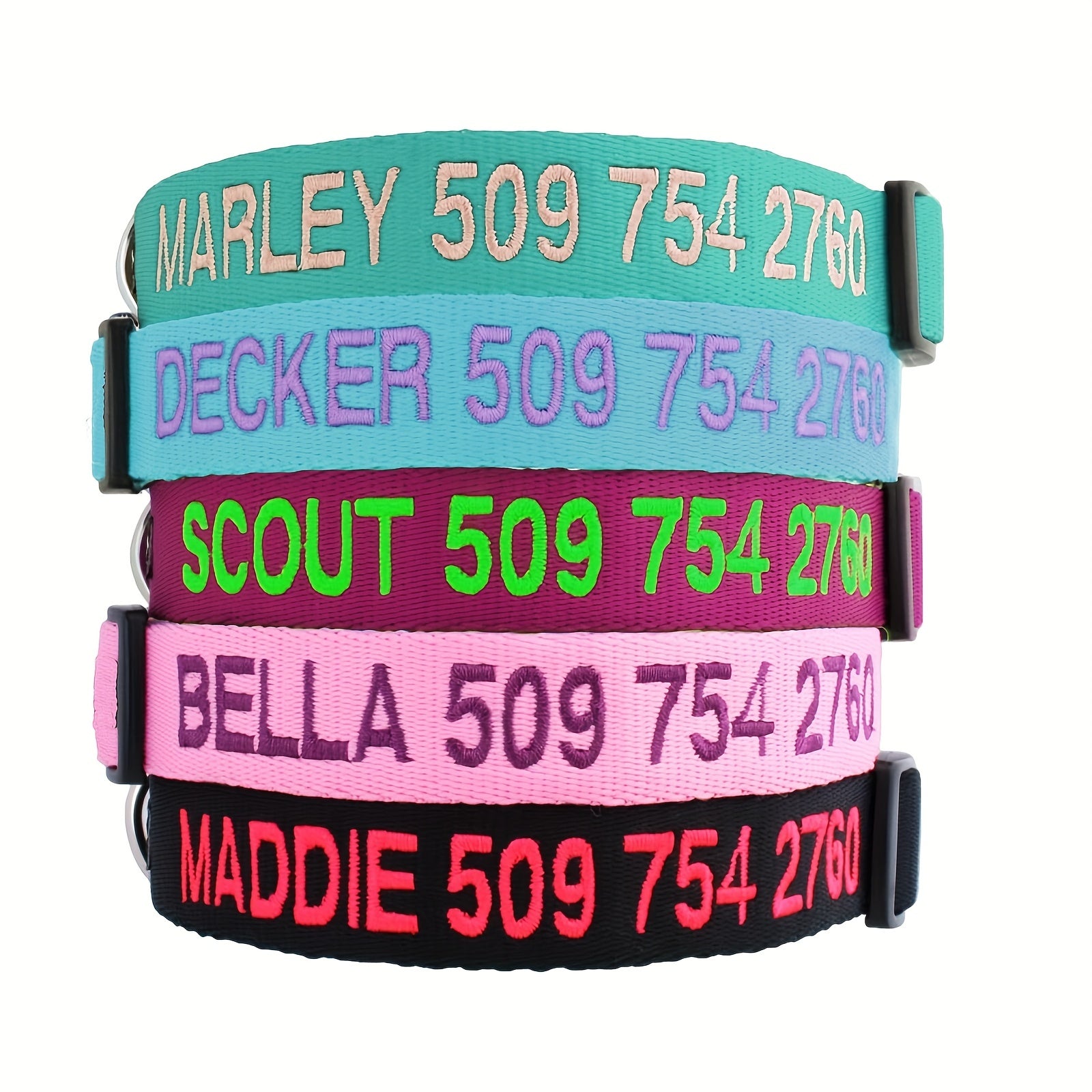 Custom Dog Collar with Name & Number