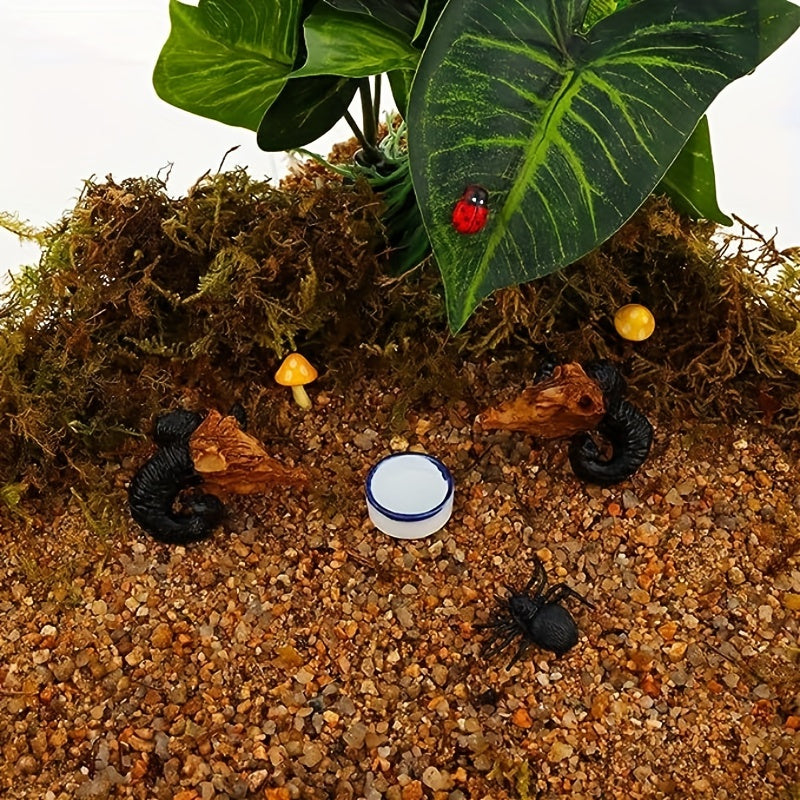 2pcs Spider Micro Water Bowls Mini Ceramic Dish For Spider Tarantula Millipede