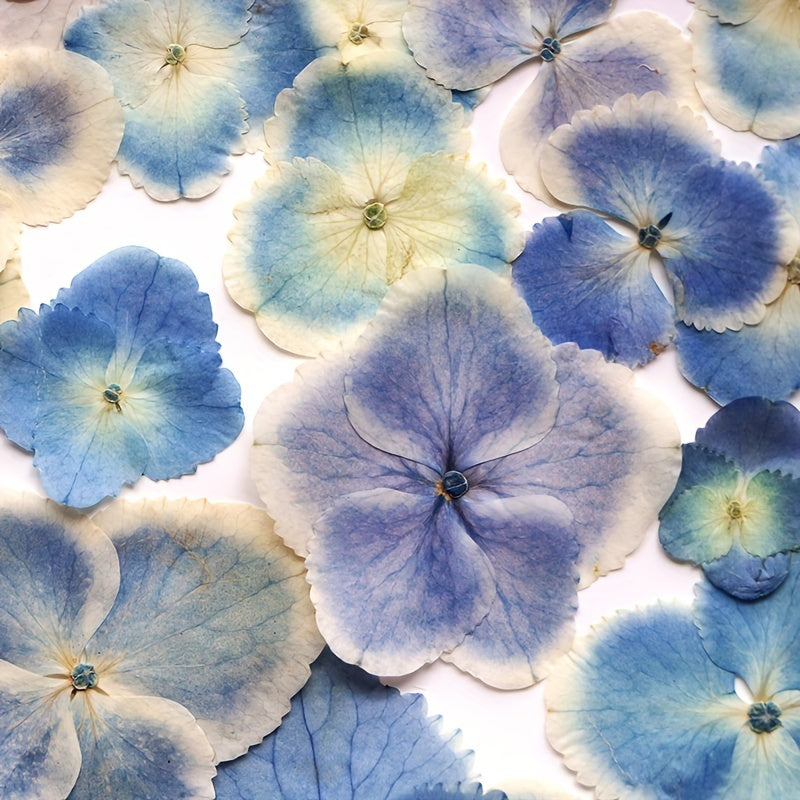 Hydrangea Dried Flower Resin Embossed DIY Kit