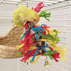 Colorful Bird Parrot Bite String Star Fruit Wood Toy For Peony Bird