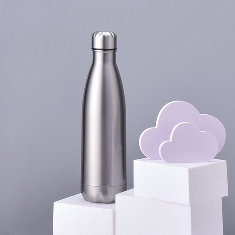 25oz Stainless Steel Insulated Water Bottle Double Wall Vacuum Leak Pro