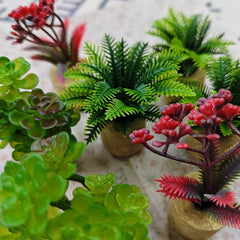 Toy House Decoration Dollhouse Simulation Succulent Plant Ornament