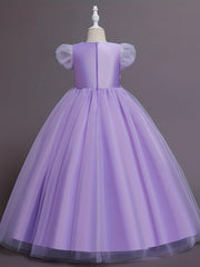 Sequins Princess Dress Puff Sleeves Fit Flare Girls Birthday Show