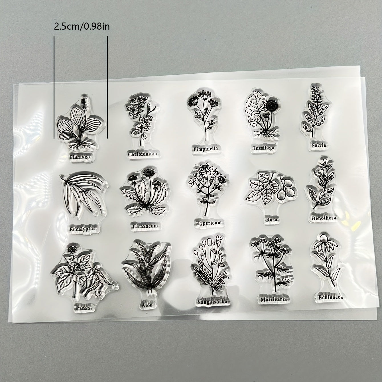Transparent Plant Silicone Stamp for DIY Handbook Seal