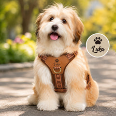 img_5203627