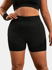 Seamless High Rise Yoga Shorts