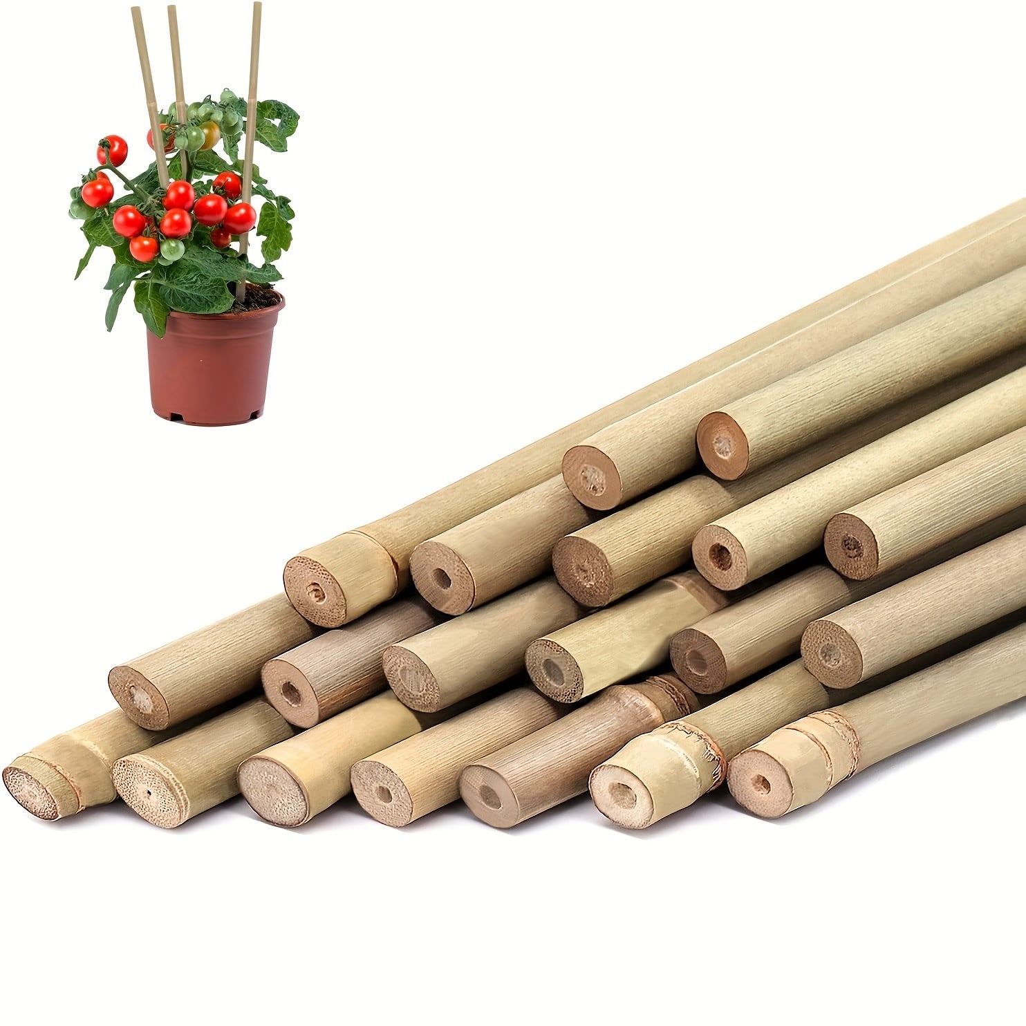 10pcs Bamboo Plant Stakes Outdoor Indoor Garden Support Stakes