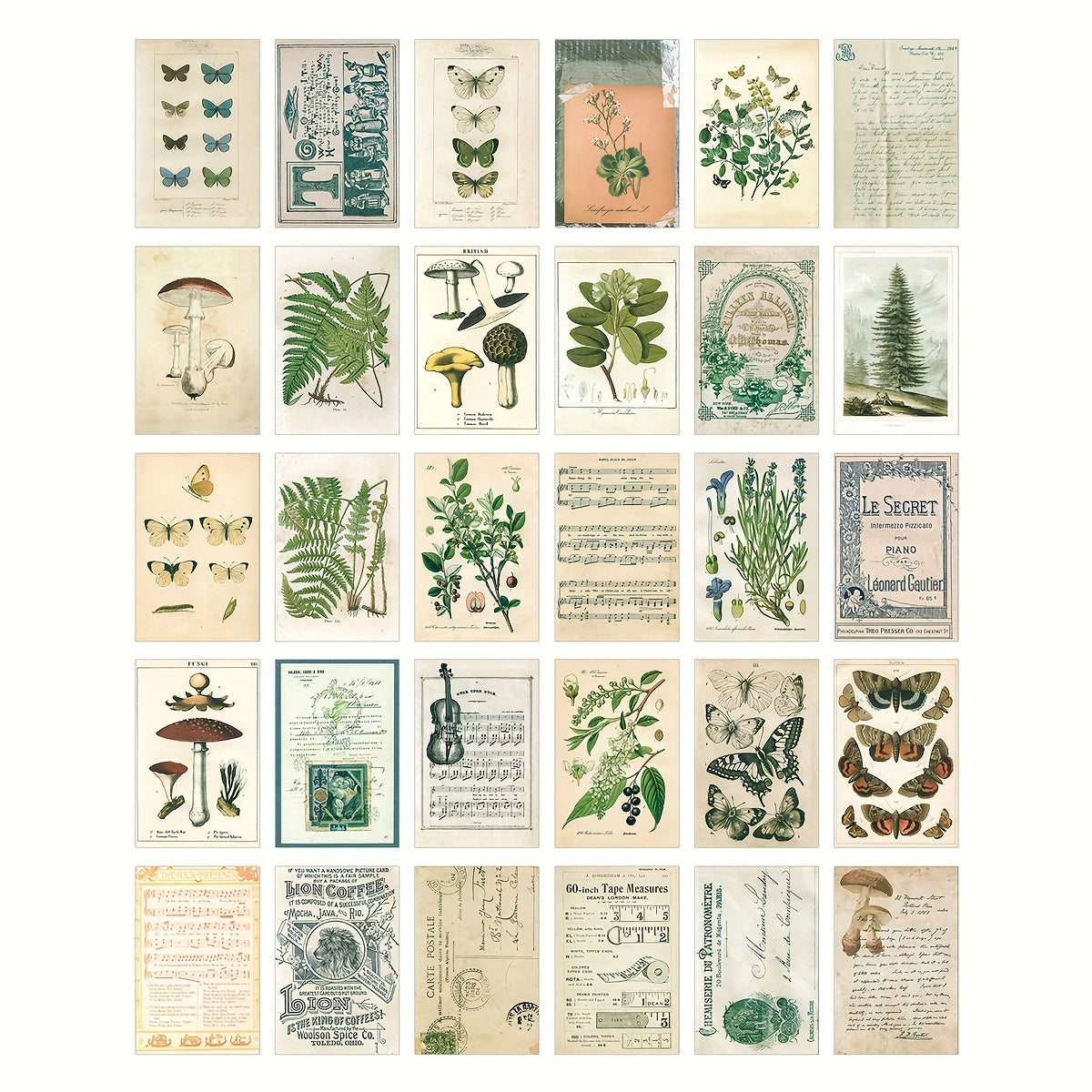 Vintage Collection Postcard Set Retro Style Nature & Ephemera Postcards