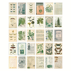 Vintage Collection Postcard Set Retro Style Nature & Ephemera Postcards