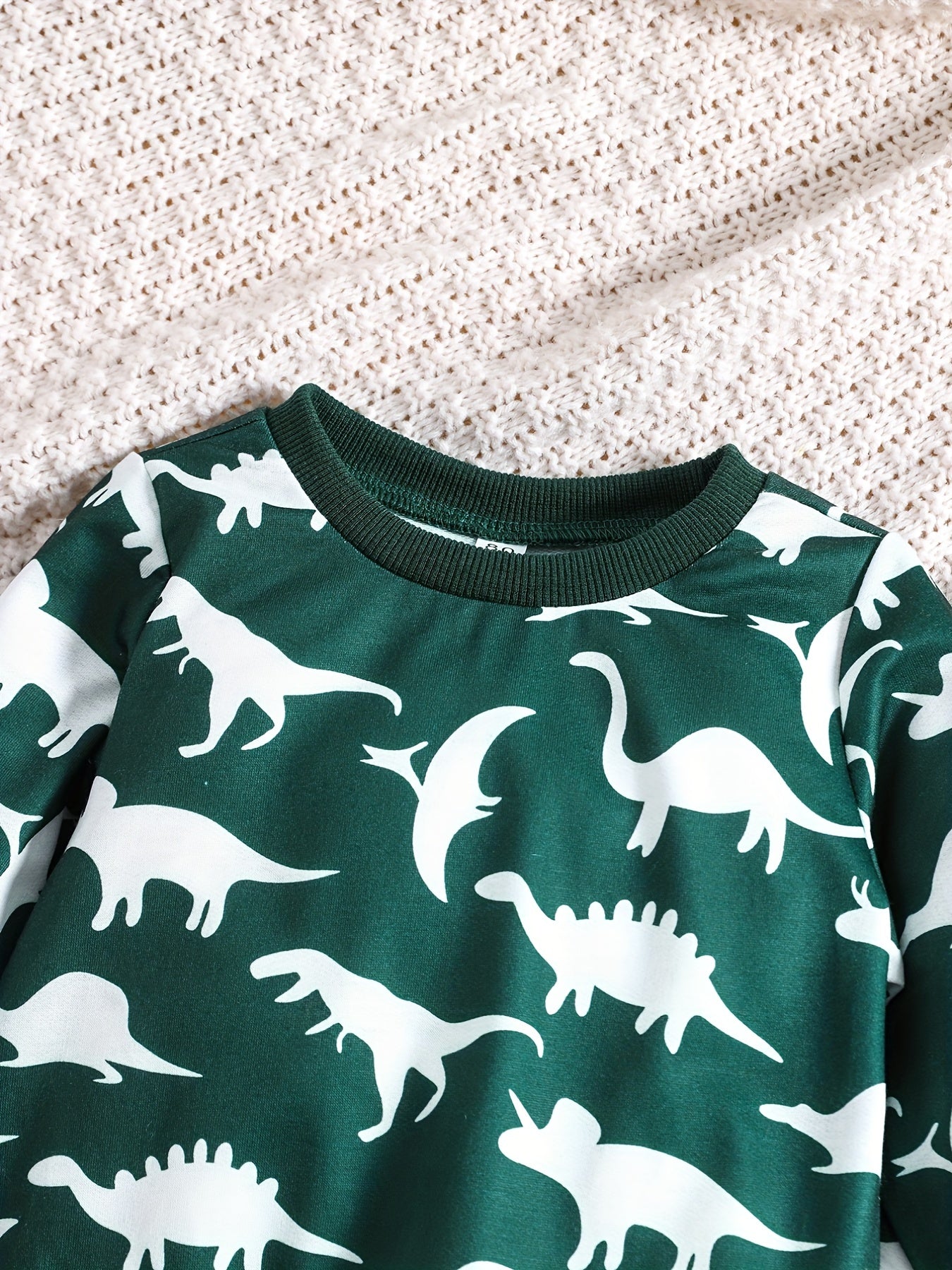 Boys Dinosaur Set Long Sleeve Pullover Top & Pants