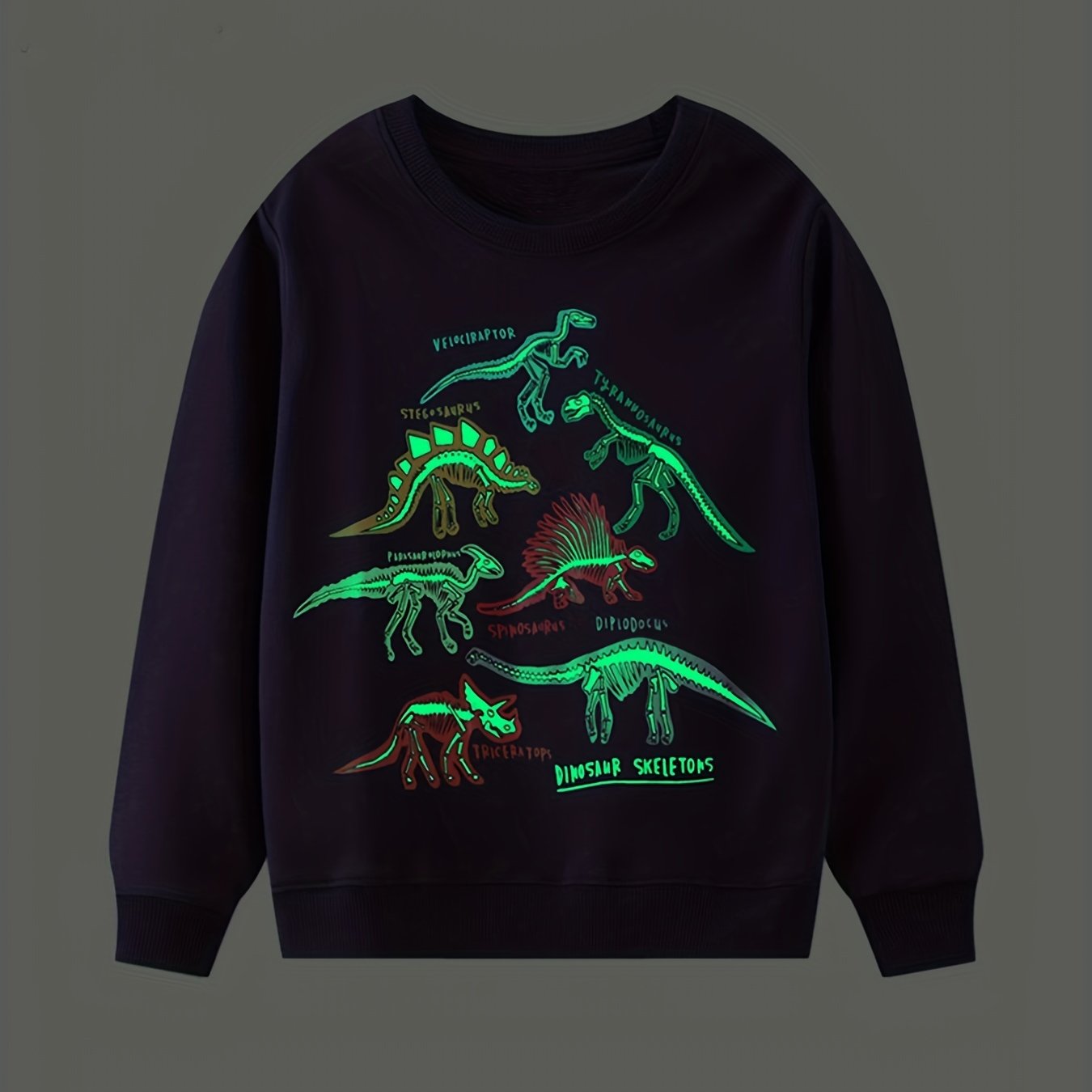 Luminous Dinosaur Print Boys Sweatshirt Crew Neck Tops