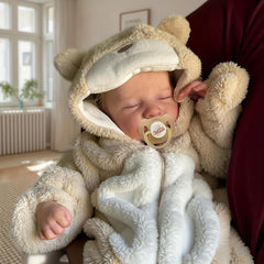 BABESIDE Lifelike Reborn Baby Dolls 20Inch Real Life Baby Dolls with Toy Accesso