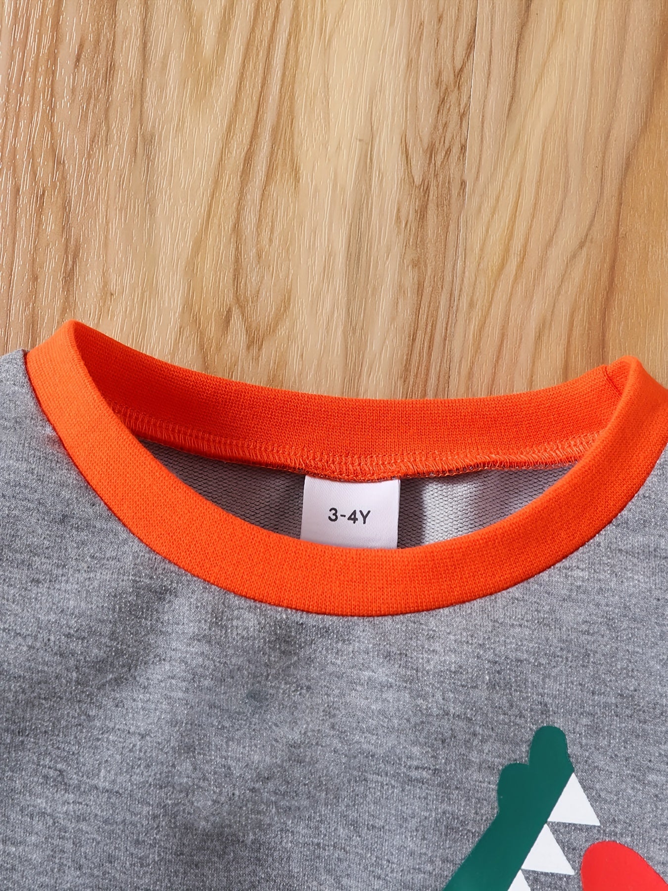 Cartoon Crocodile Print Boys Casual Pullover Sweatshirt