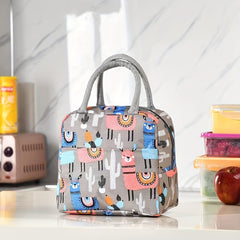 Small Satchel Lunch Box Lightweight Portable Lunch Storage Bag