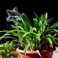 Automatic Watering Device for Houseplants