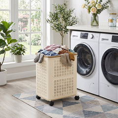 img_4560523