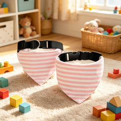 img_5484341