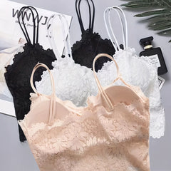3pcs Floral Lace Cami Tops V Neck Scallop Trim Top Women's Lingerie