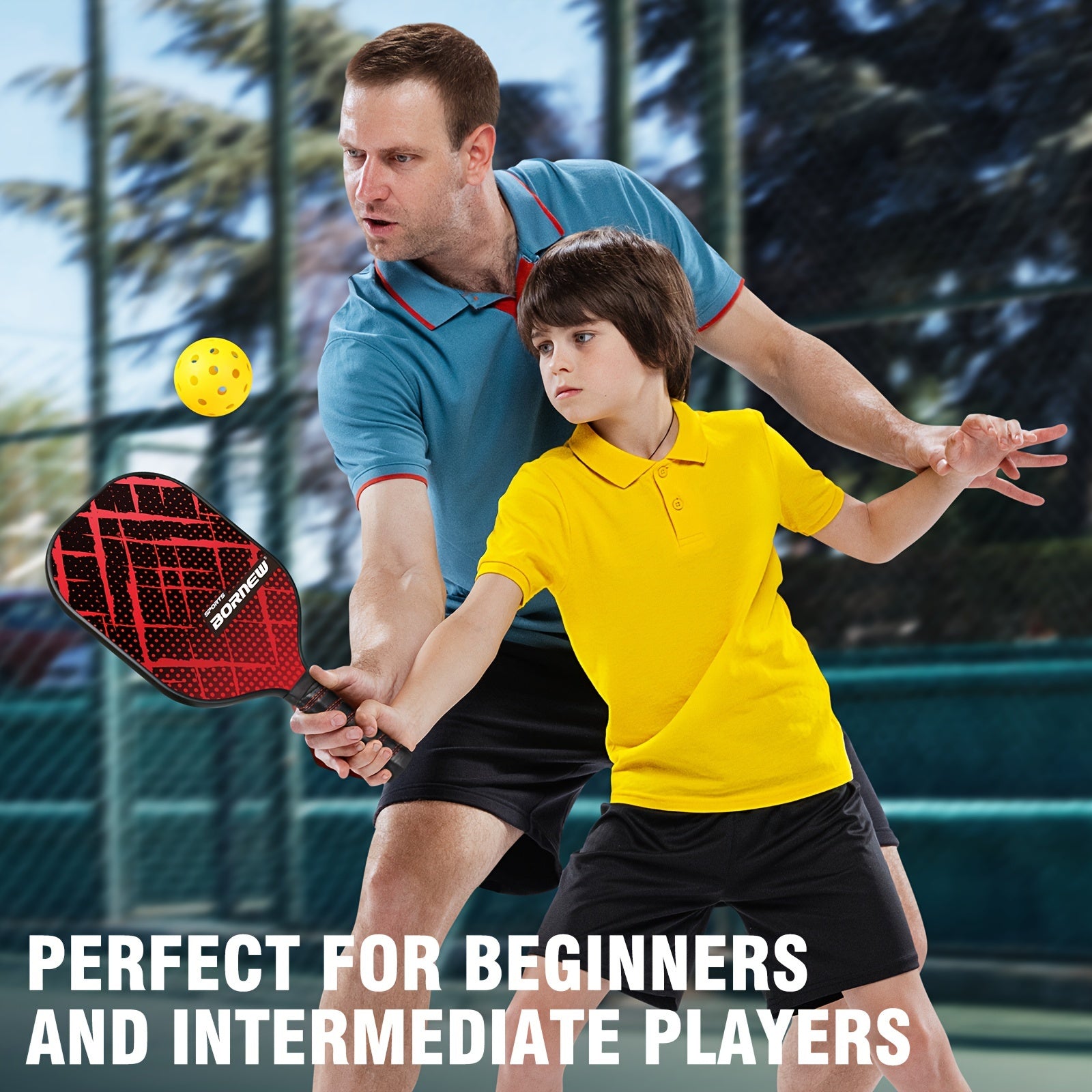 Lightweight Pickleball Paddle Set of 4 with 6 Balls and Bag