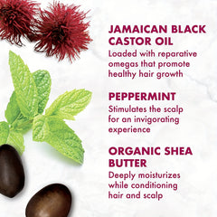 Rosemary Mint Scalp & Hair Strengthening Biotin & Essential Oils Hair Care 1 oz