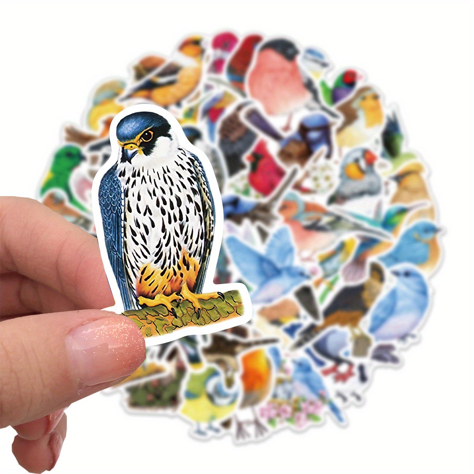 50 Watercolor Bird Stickers Parrot Finch Designs for Laptops Phones Cars