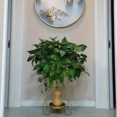 Stylish Iron Flower Rack Indoor Shelf Floor Standing Storage Display