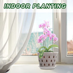 3pcs Transparent Orchid Pots W/ Saucers & Hanging Hooks Indoor Outdoor Decor