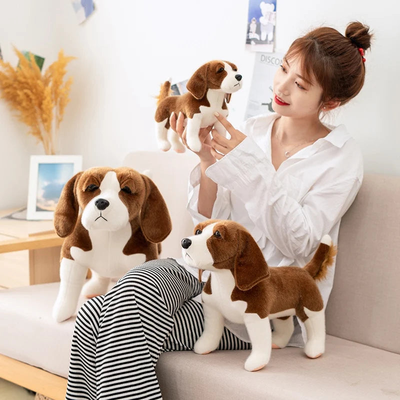 img_4992707