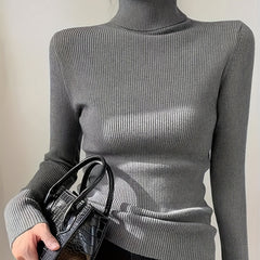 Solid Turtleneck Sweater Casual Long Sleeve Sweater For Fall & Winter
