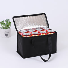 Insulated Picnic Bag for Fresh Food on Outdoor Adventures