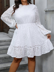 Eyelet Embroidery Lantern Sleeve Mini Dress