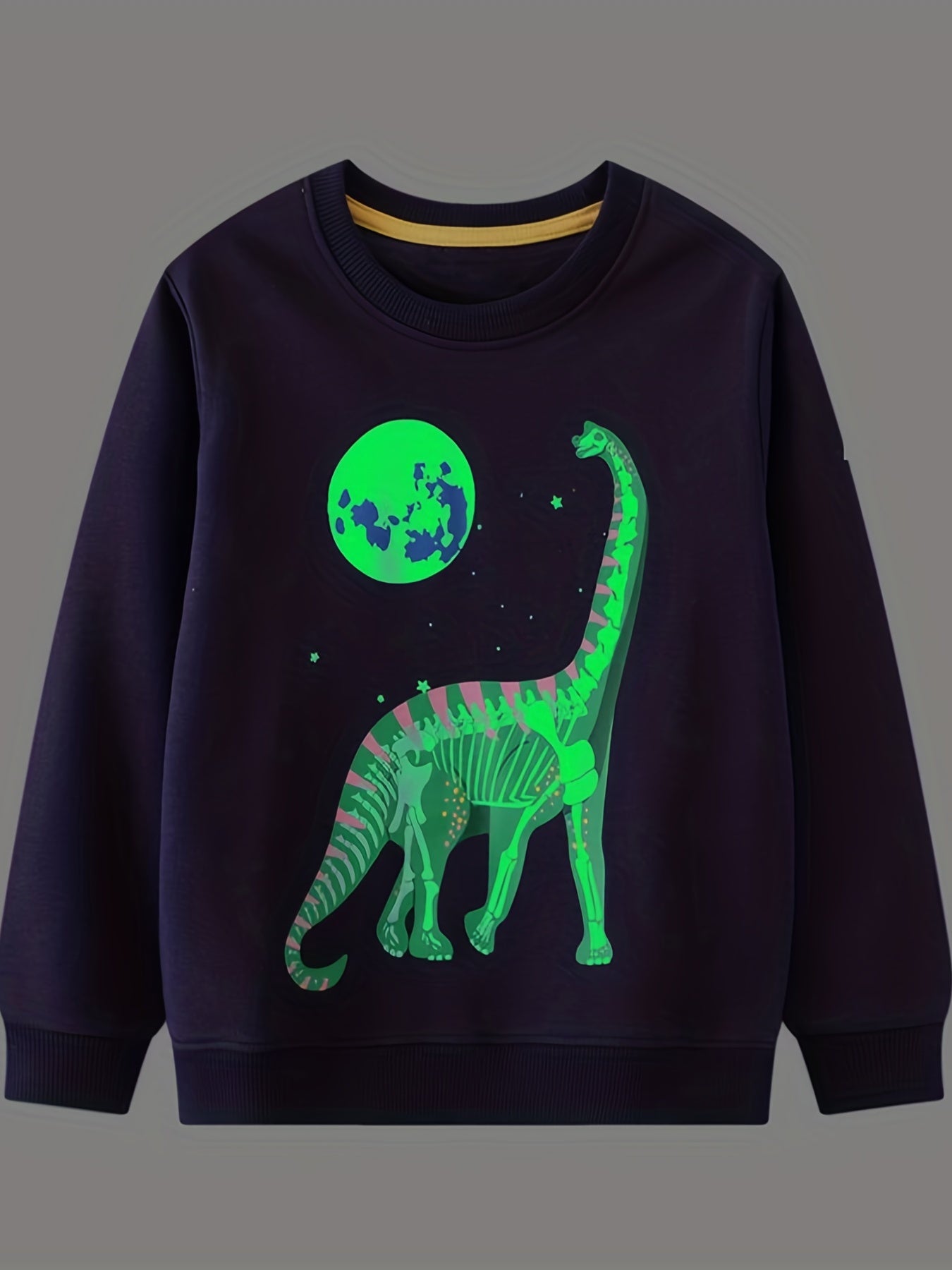 Kid's Dino Pattern Sweatshirt Crew Neck Long Sleeve Top