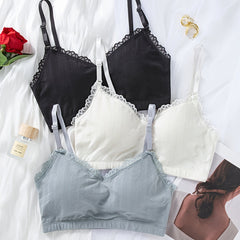 3pcs Lace Trim Wireless Bras Comfy & Breathable Underwear