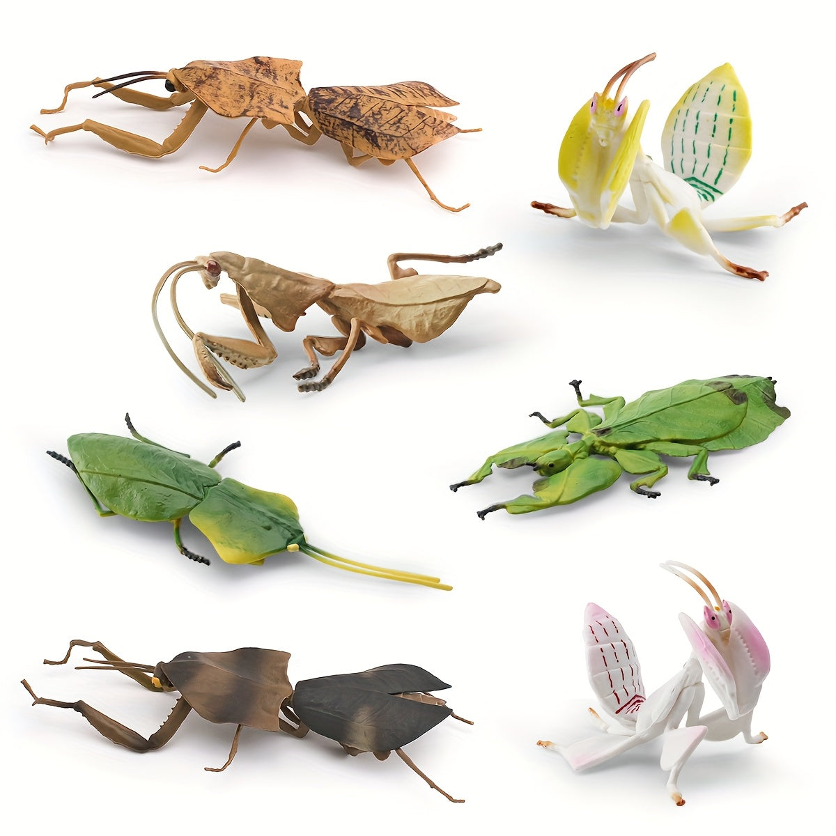 Insect Animal Models Educational Toys