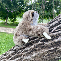 Cuddly Brown Sloth Plush Toy Fluffy Fur