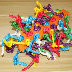 Colorful Bird Toy For Medium And Large Parrot