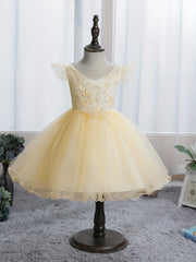 Baby Girls Floral Embroidery Mesh Gown Dress For Party Gift