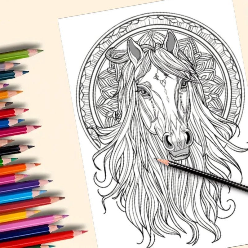 Magical Horse Adult Coloring Book DIY Art Therapy Drawing & Painting Kit