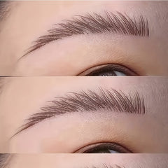 5pcs Makeup Brush Eyebrow Brush Tool Angled Concealer For Eyebrows