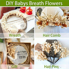 Natural Gypsophila Branches for Party Table Vase Wedding Home DIY Wreath Floral